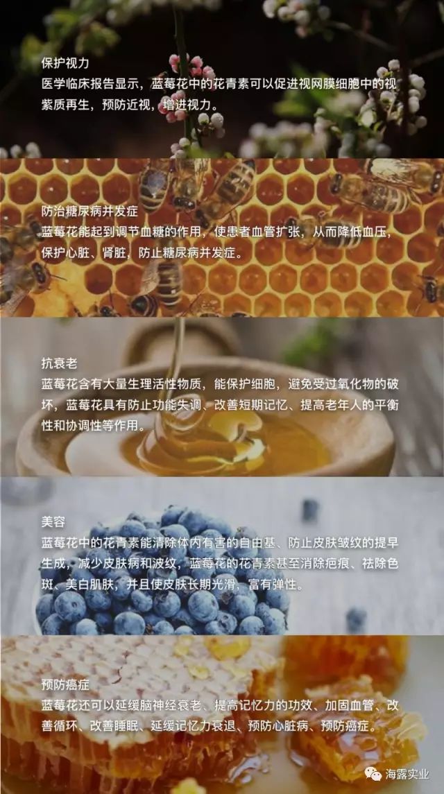 首页-PA集团有限公司官网入口