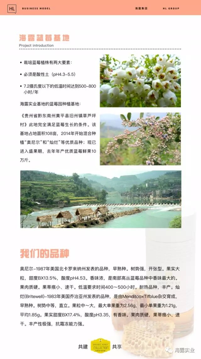 首页-PA集团有限公司官网入口