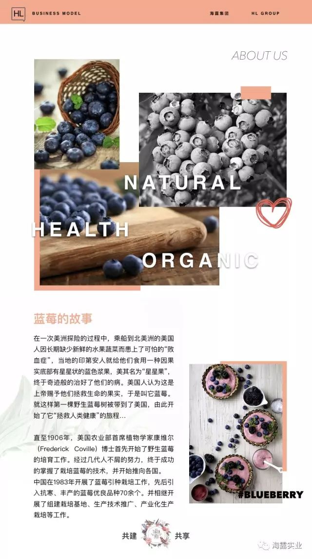 首页-PA集团有限公司官网入口