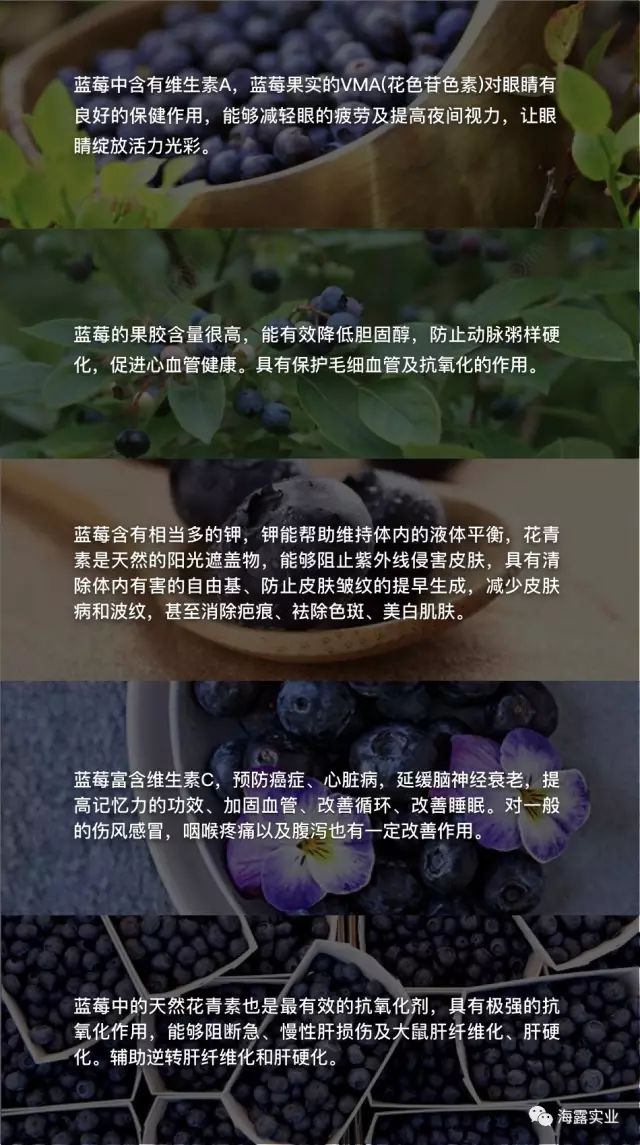 首页-PA集团有限公司官网入口