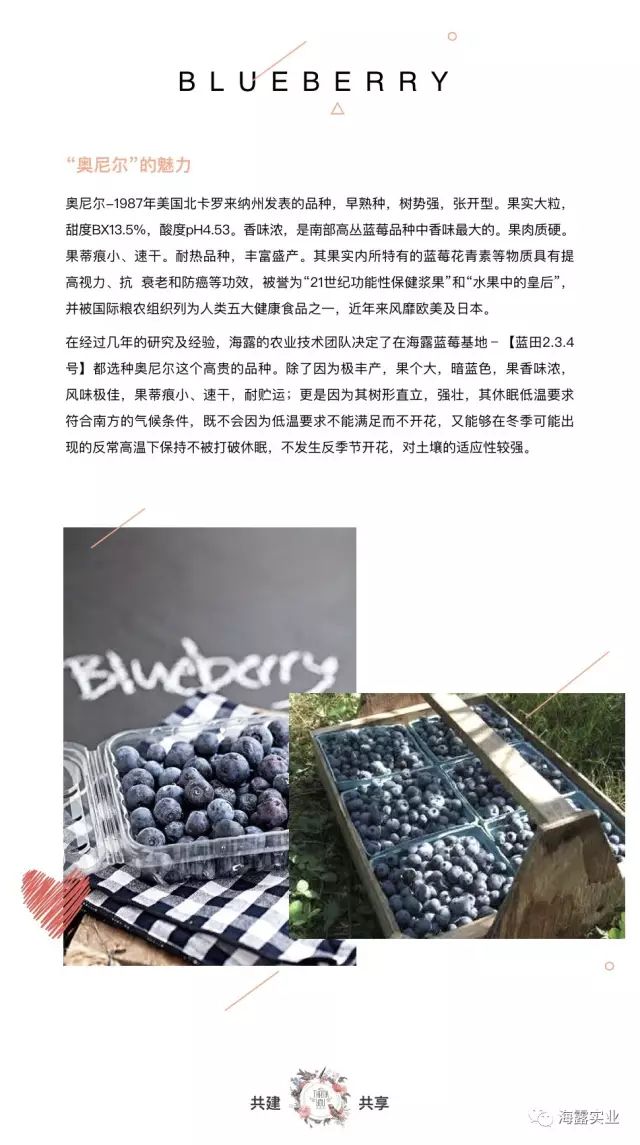 首页-PA集团有限公司官网入口