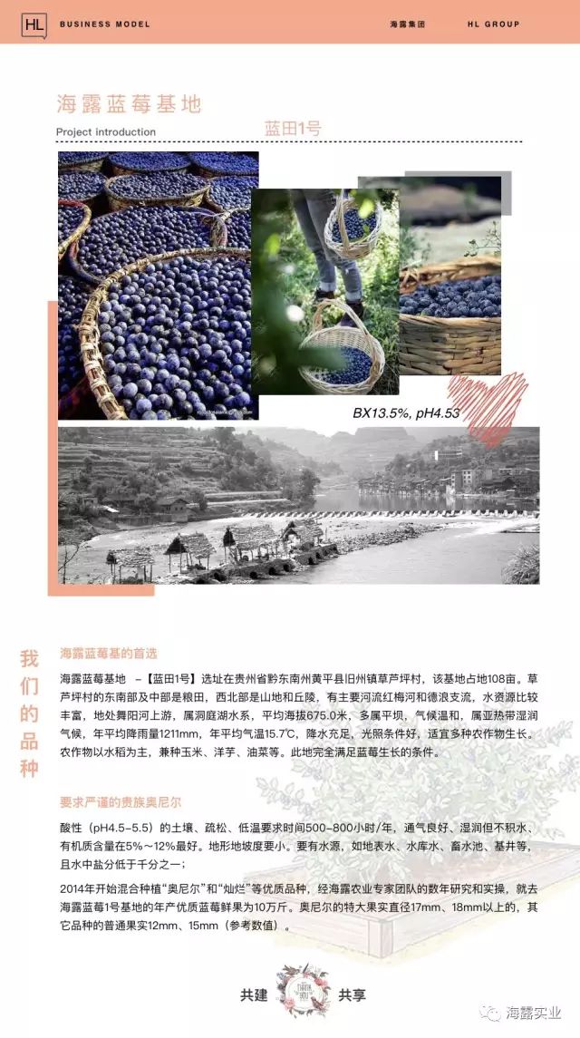 首页-PA集团有限公司官网入口