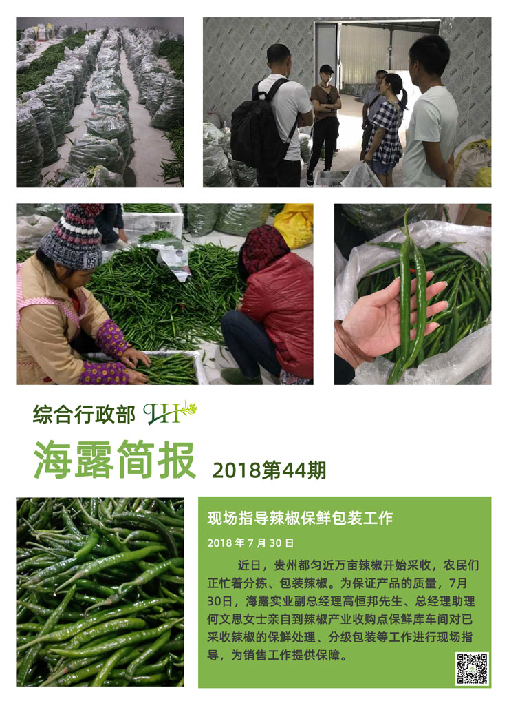 首页-PA集团有限公司官网入口