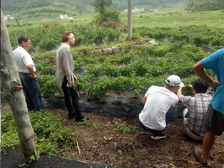 首页-PA集团有限公司官网入口