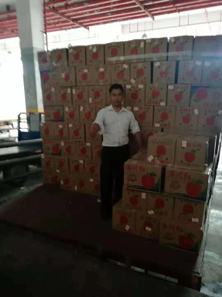 首页-PA集团有限公司官网入口