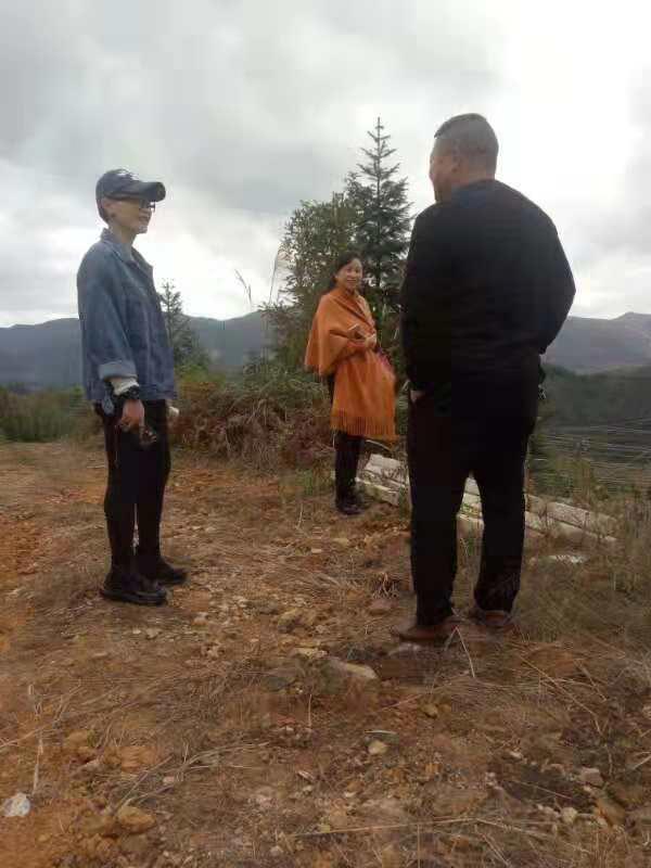 首页-PA集团有限公司官网入口