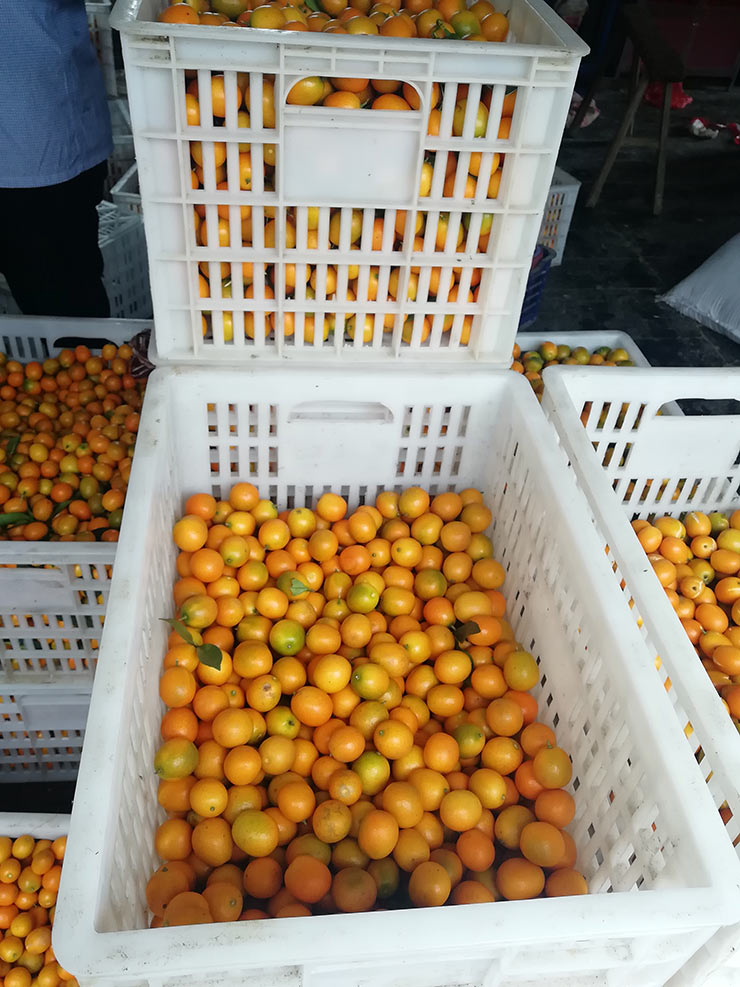 首页-PA集团有限公司官网入口