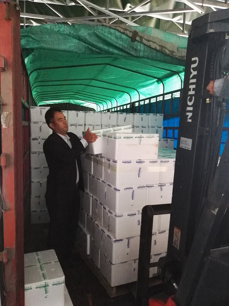 首页-PA集团有限公司官网入口