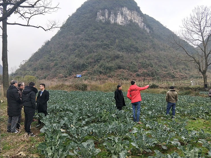首页-PA集团有限公司官网入口