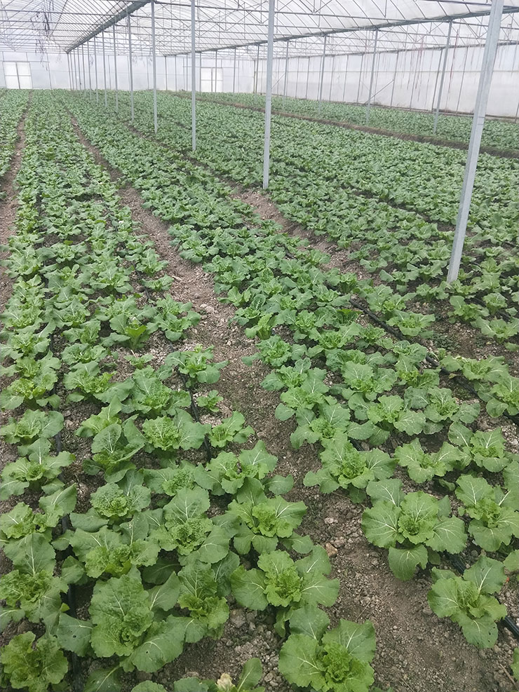 首页-PA集团有限公司官网入口