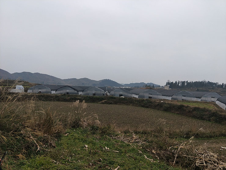 首页-PA集团有限公司官网入口