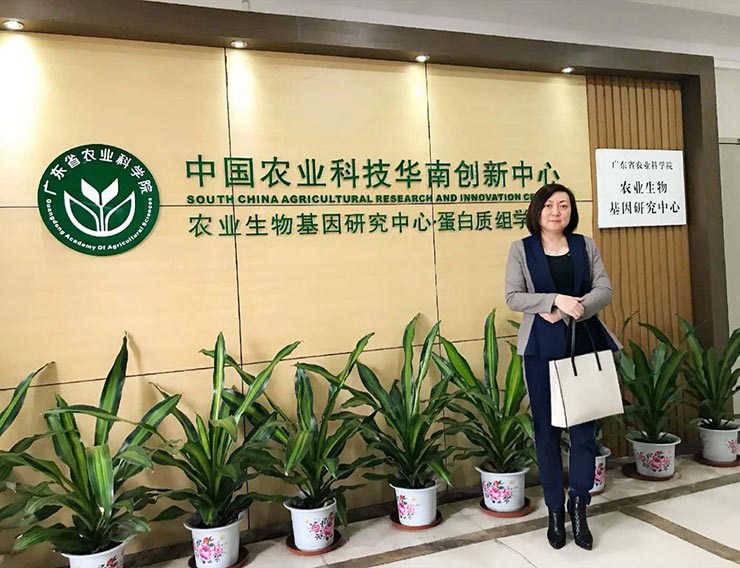 首页-PA集团有限公司官网入口