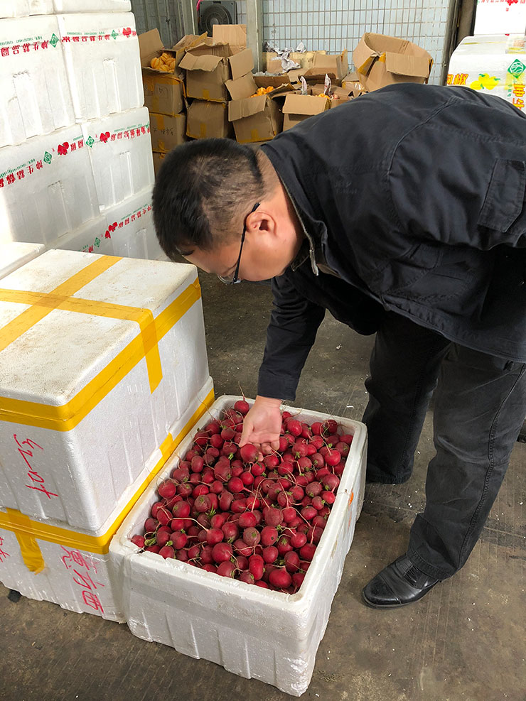 首页-PA集团有限公司官网入口