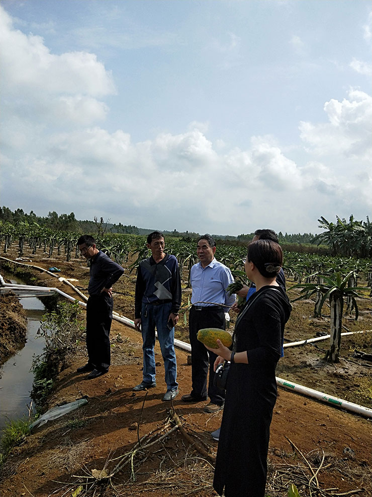 首页-PA集团有限公司官网入口