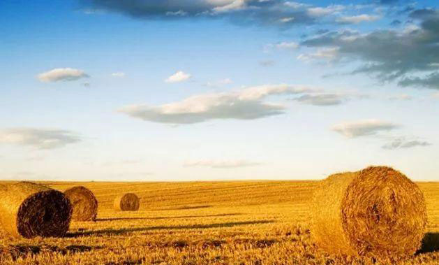 首页-PA集团有限公司官网入口