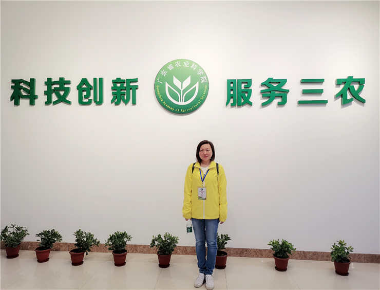 首页-PA集团有限公司官网入口