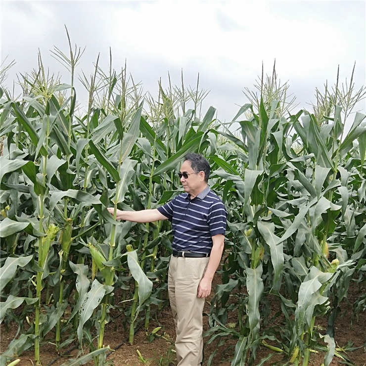 首页-PA集团有限公司官网入口