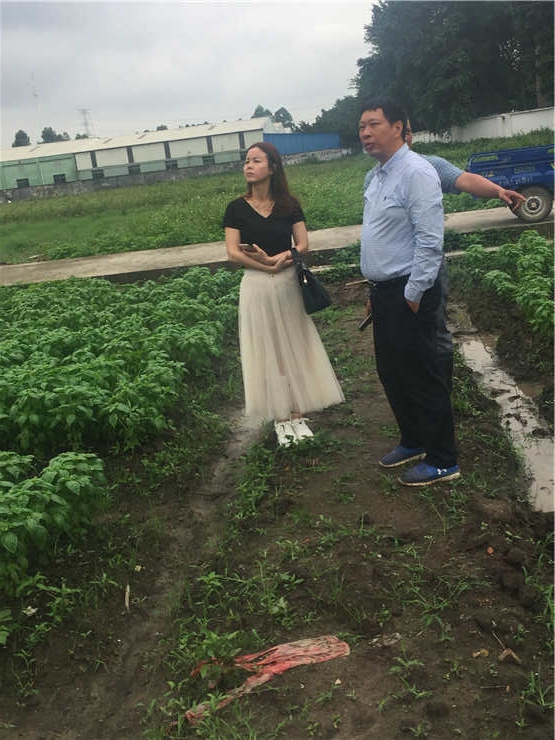 首页-PA集团有限公司官网入口