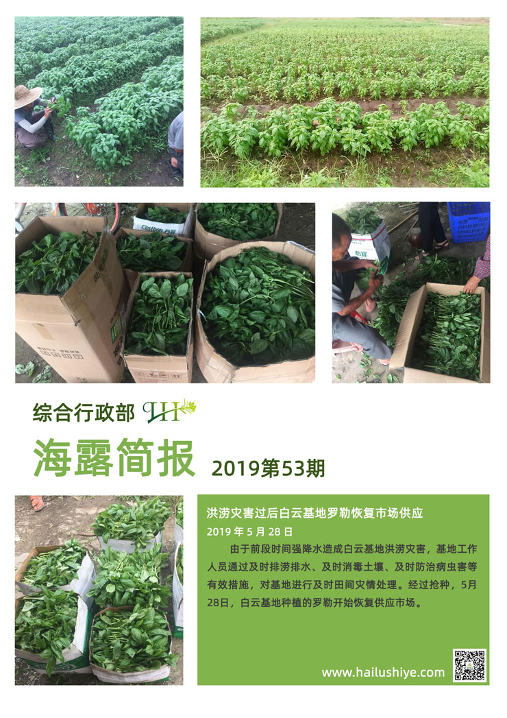 首页-PA集团有限公司官网入口