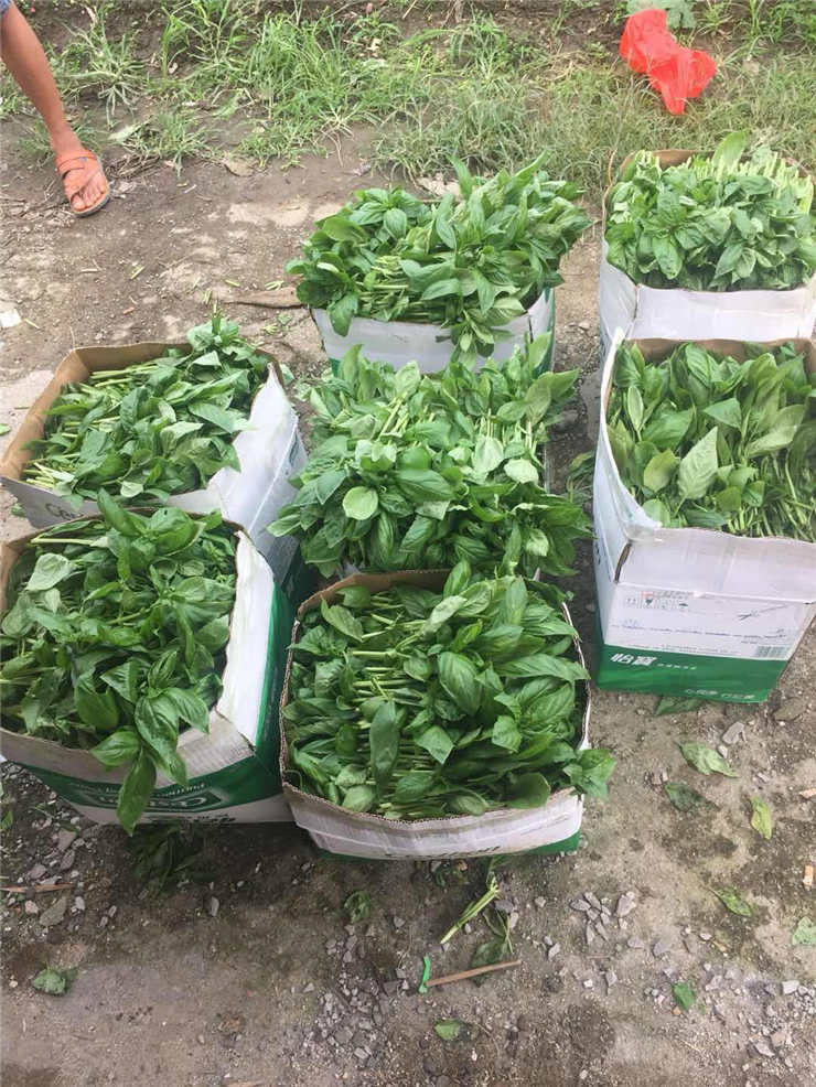 首页-PA集团有限公司官网入口