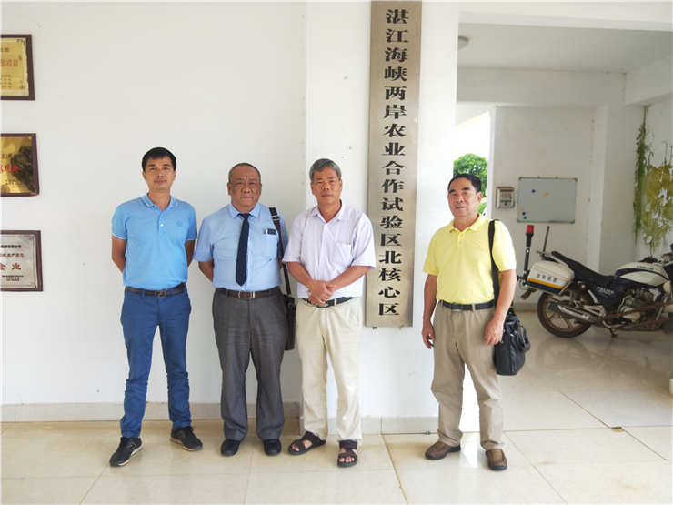 首页-PA集团有限公司官网入口