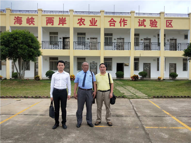 首页-PA集团有限公司官网入口