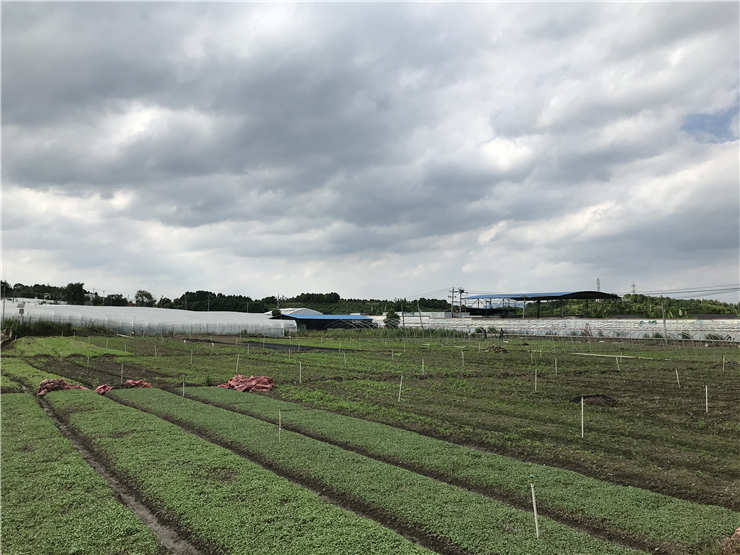 首页-PA集团有限公司官网入口