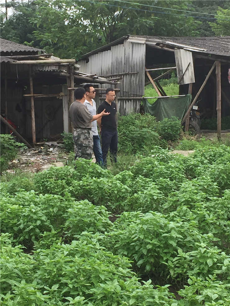 首页-PA集团有限公司官网入口