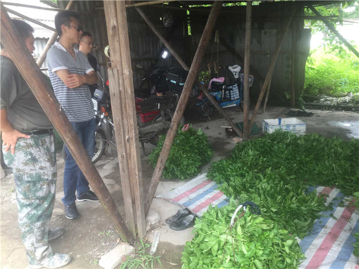 首页-PA集团有限公司官网入口