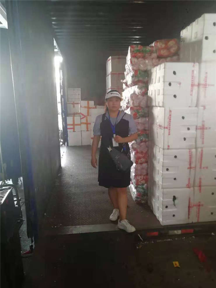 首页-PA集团有限公司官网入口