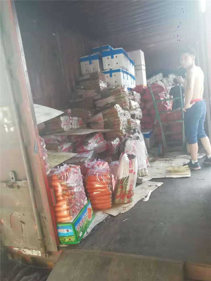 首页-PA集团有限公司官网入口