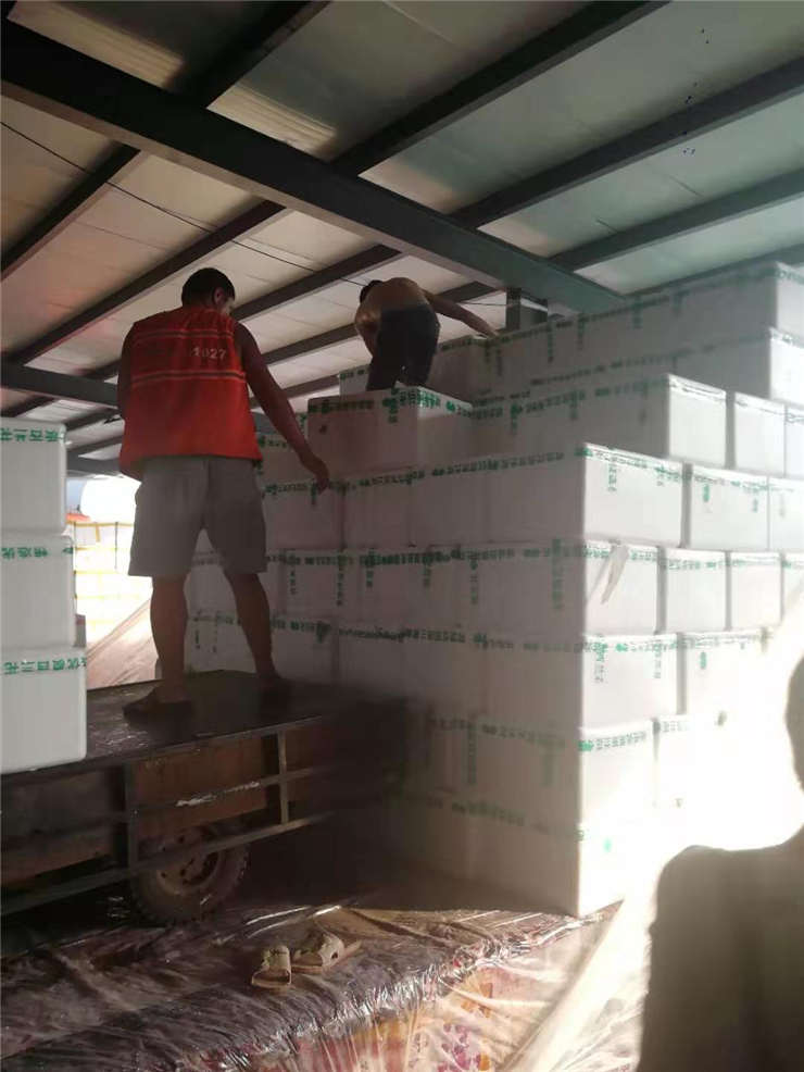 首页-PA集团有限公司官网入口