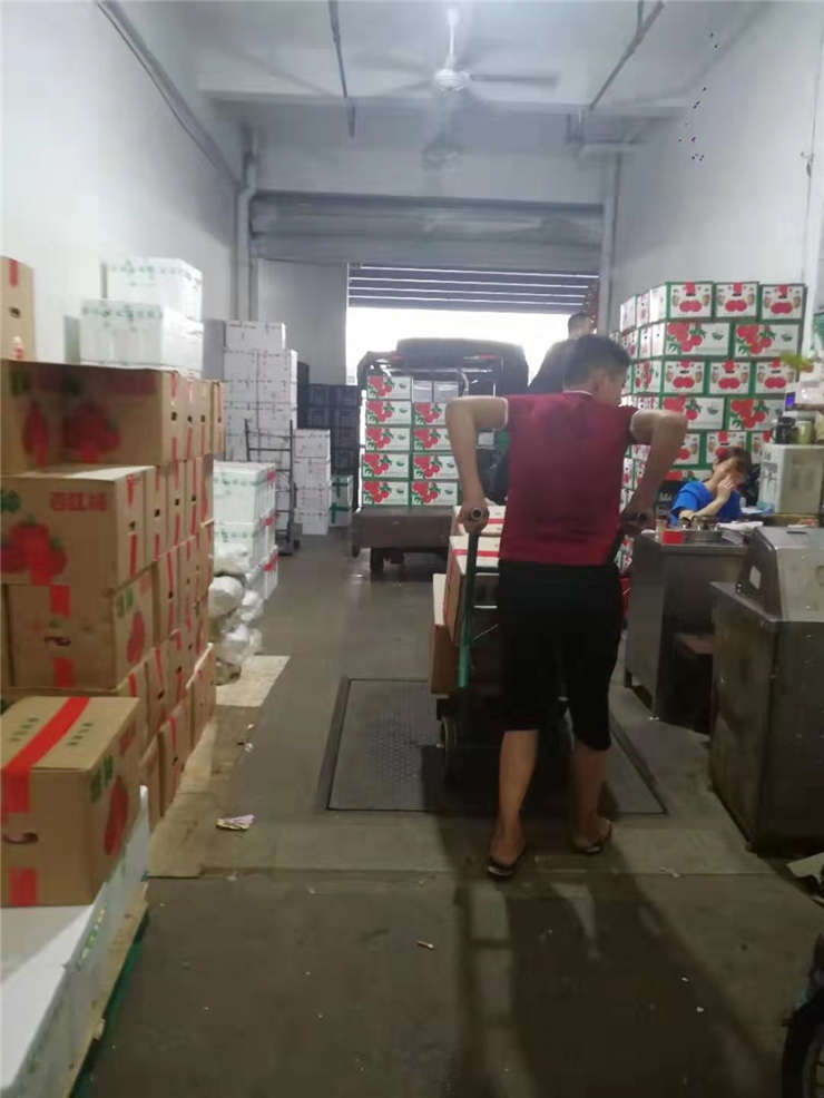 首页-PA集团有限公司官网入口