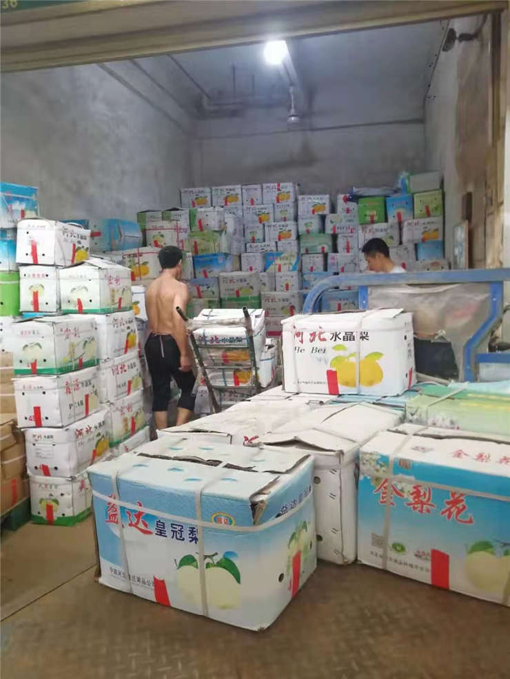 首页-PA集团有限公司官网入口