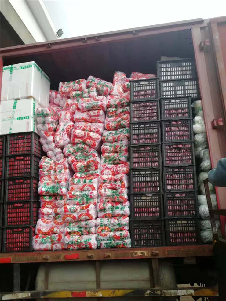 首页-PA集团有限公司官网入口