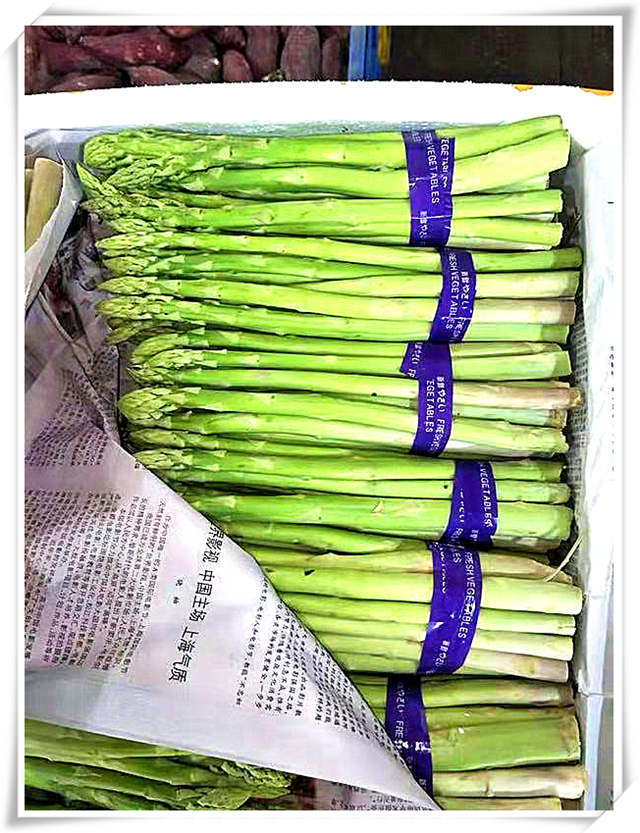 首页-PA集团有限公司官网入口