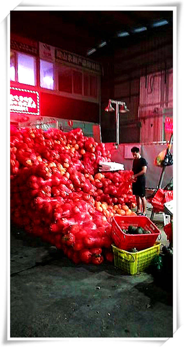 首页-PA集团有限公司官网入口