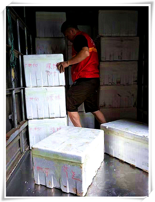 首页-PA集团有限公司官网入口