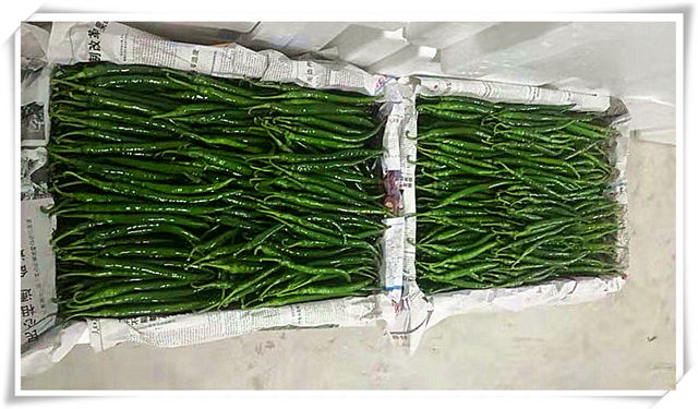 首页-PA集团有限公司官网入口