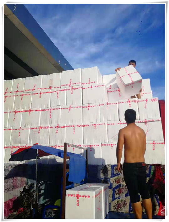 首页-PA集团有限公司官网入口