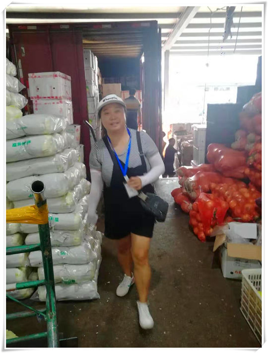 首页-PA集团有限公司官网入口