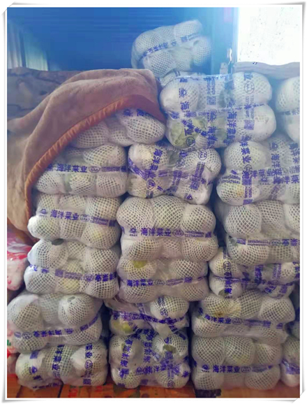 首页-PA集团有限公司官网入口