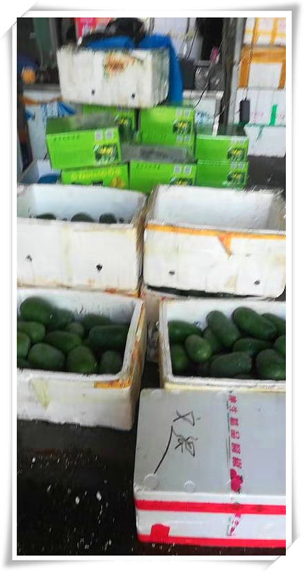 首页-PA集团有限公司官网入口