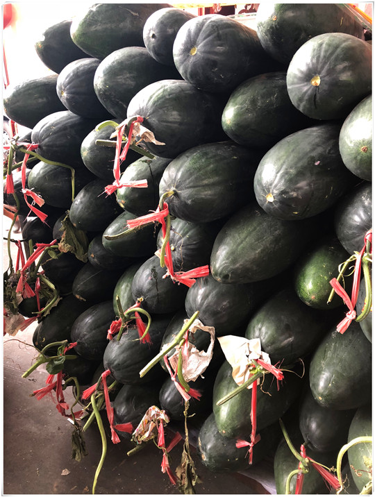 首页-PA集团有限公司官网入口