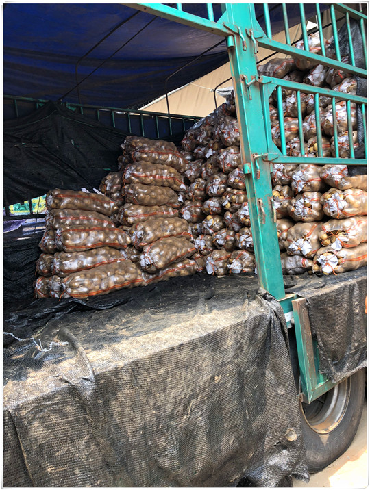 首页-PA集团有限公司官网入口