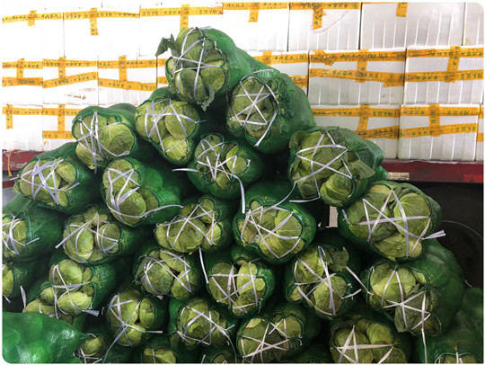 首页-PA集团有限公司官网入口