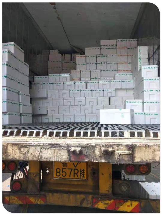 首页-PA集团有限公司官网入口