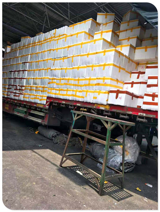 首页-PA集团有限公司官网入口