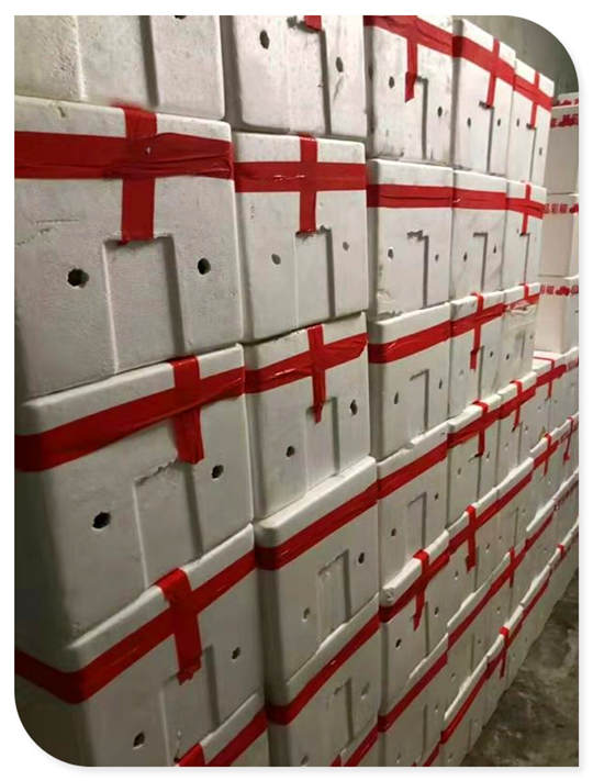 首页-PA集团有限公司官网入口