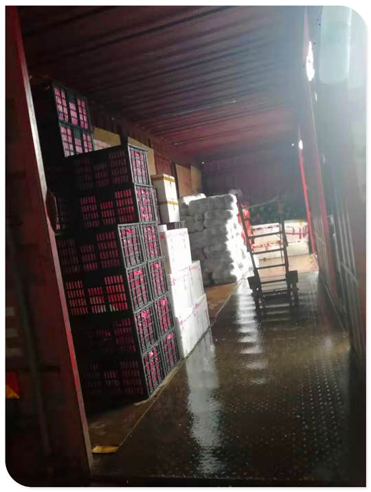 首页-PA集团有限公司官网入口